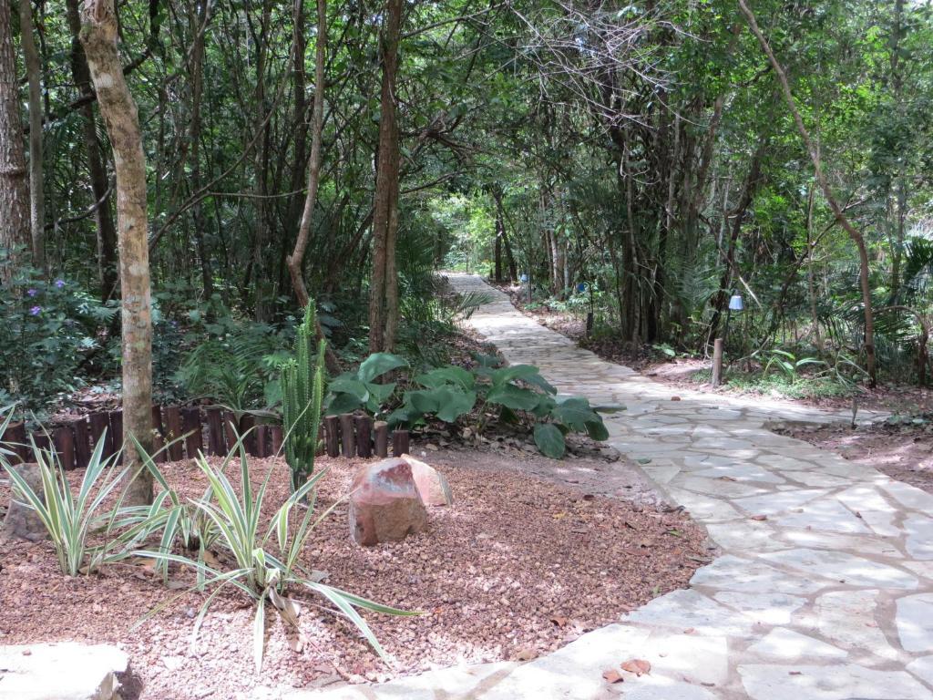 Pousada Eden - Conforto, Imersao E Natureza São Jorge Zewnętrze zdjęcie