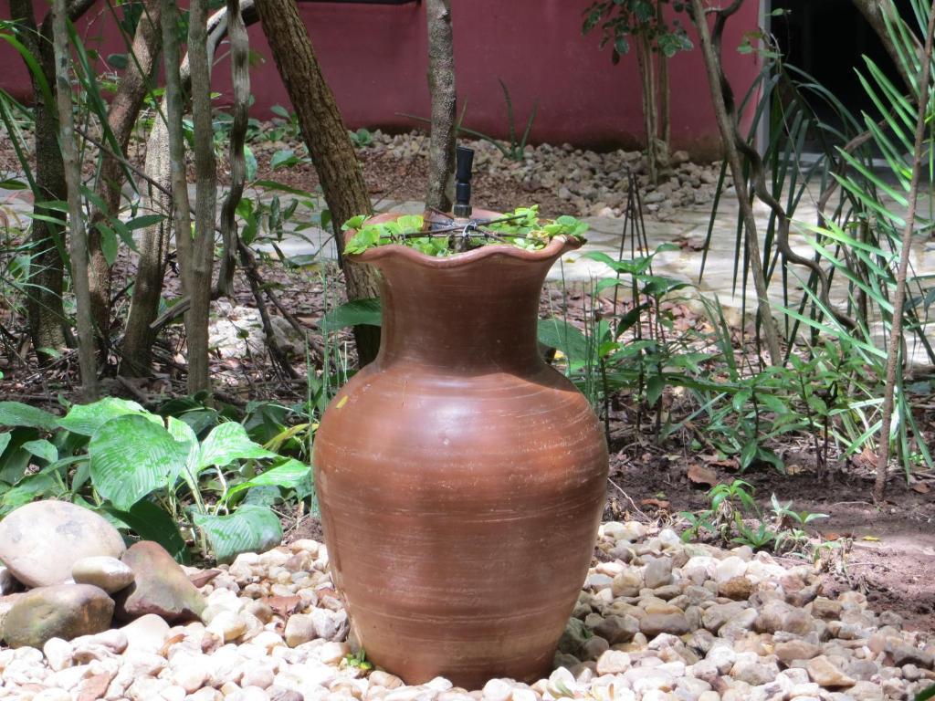 Pousada Eden - Conforto, Imersao E Natureza São Jorge Zewnętrze zdjęcie